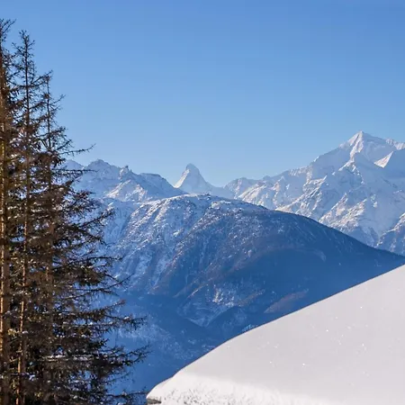 アパート Wilhelm Tell Duplex *