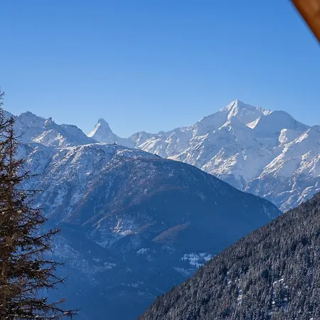 アパート Wilhelm Tell Duplex リーデラルプ